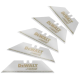 Леза запасні DeWALT Carbide, 5 шт (DWHT0-11131)