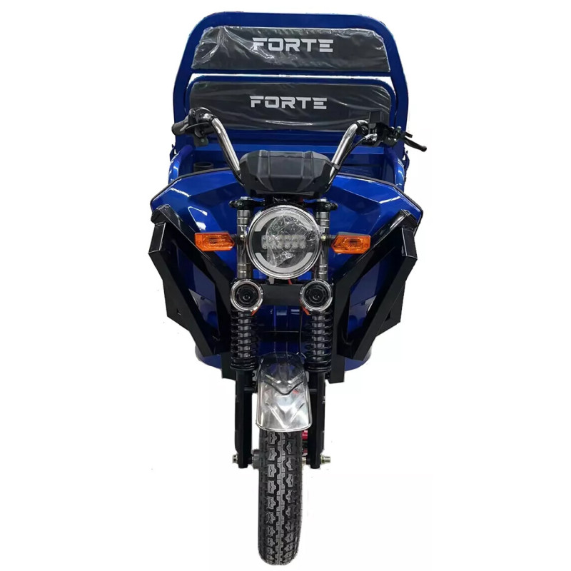 Грузовой электрический трицикл FORTE JH-1200, синий (131995)