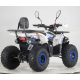 Квадроцикл Forte ATV125F (бело-синий) (124598)