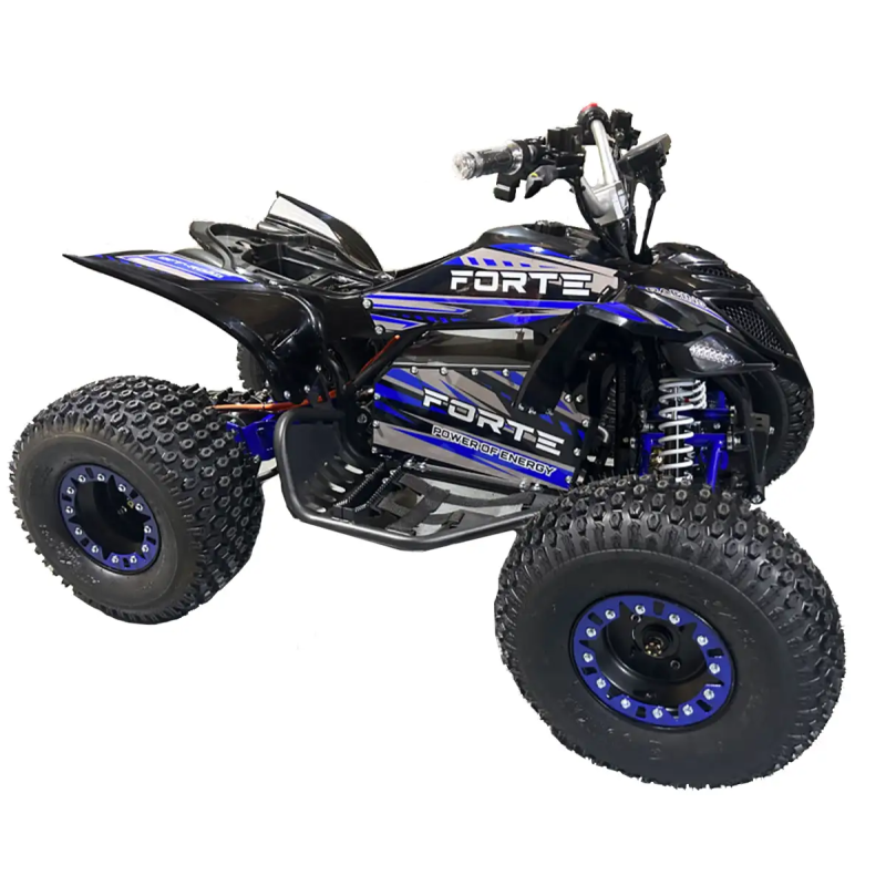 Электроквадроцикл Forte ATV1000I (черно-голубой)