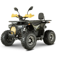 Квадроцикл Forte ATV150P (чорно-жовтий) (139509)