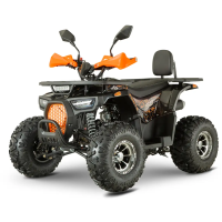 Квадроцикл Forte ATV150P (оранжевый) (139510)