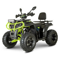 Квадроцикл Forte AFC-200 PRO (черно-зеленый) (145743)