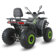 Квадроцикл Forte ATV200G (зелено-серый) (133190)