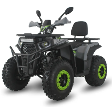 Квадроцикл Forte ATV200G (зелено-серый) (133190)